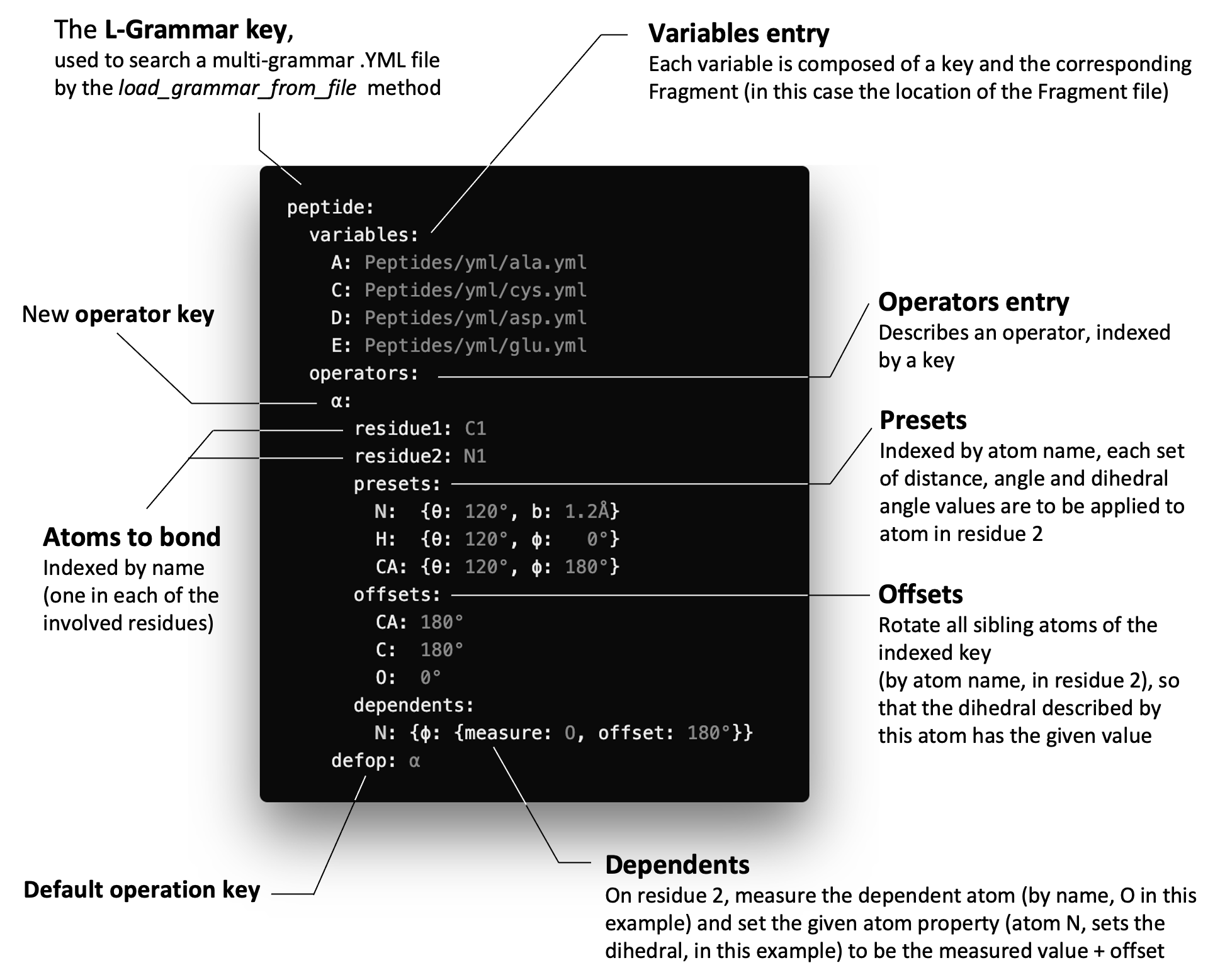 ProtoSyn L-grammar